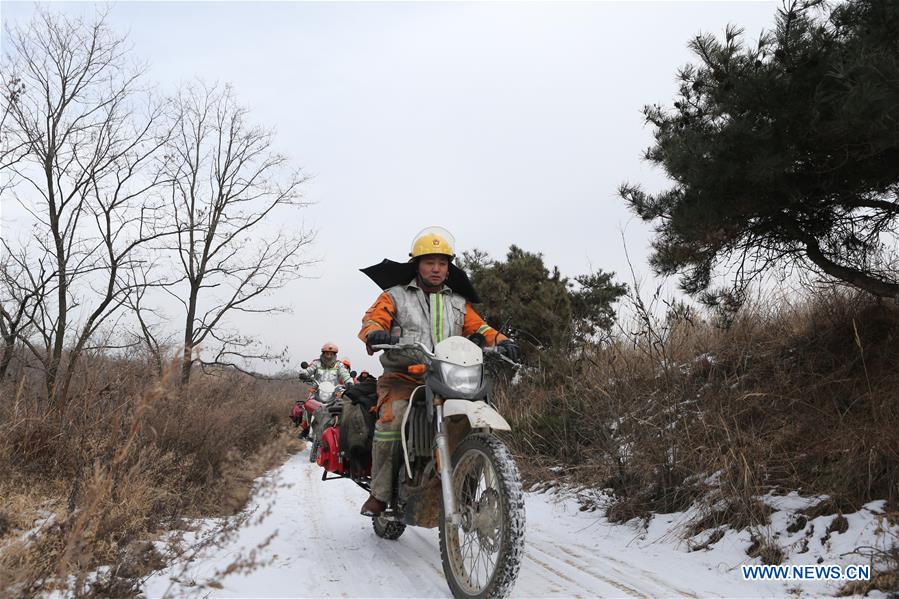 CHINA-SHANDONG-LAIXI-FOREST RANGER(CN)