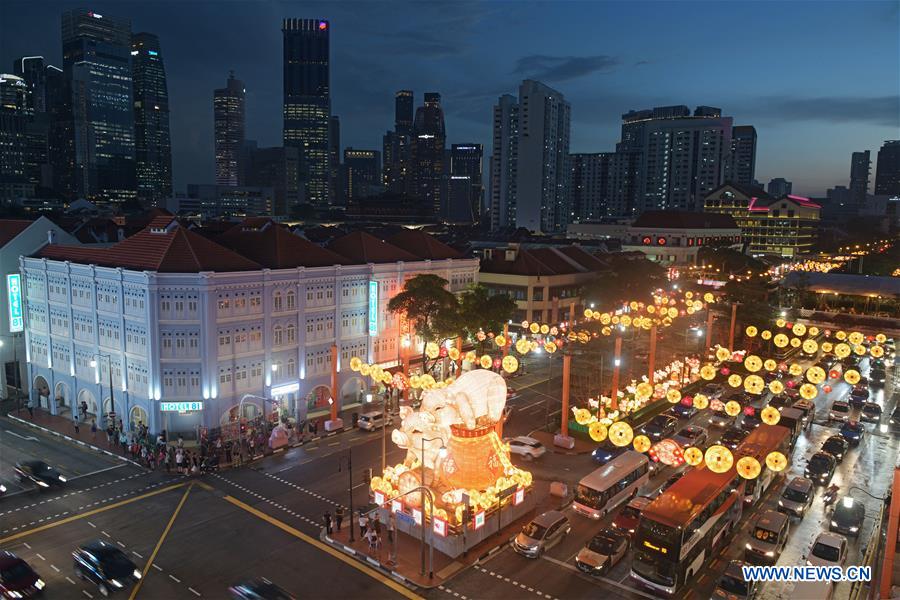 SINGAPORE-CHINATOWN-LUNAR NEW YEAR-LIGHT