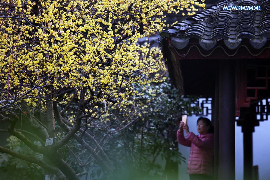 # CHINA-DAHAN-SOLAR TERM-WINTER BLOSSOMS (CN)