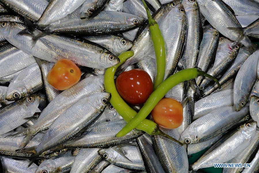 PHILIPPINES-QUEZON-MARKET-ENDANGERED FRESHWATER SARDINES