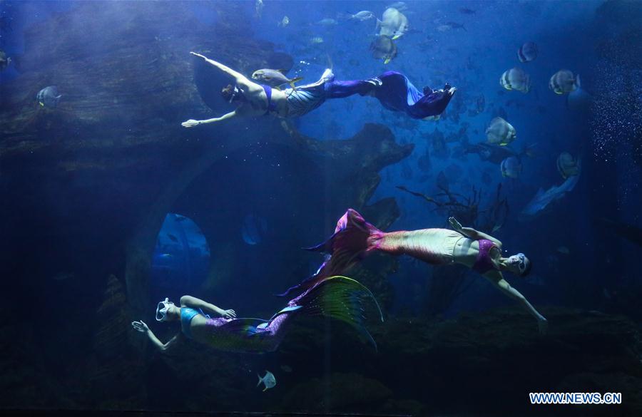 #CHINA-GUIZHOU-GUIYANG-OCEAN WORLD (CN)