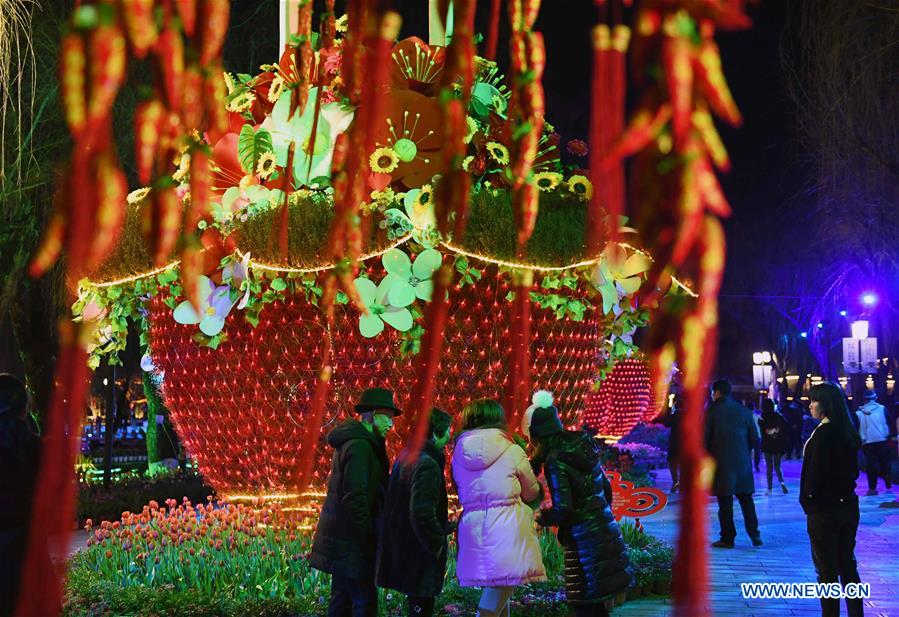 CHINA-YUNAN-KUNMING-FANCY LANTERNS (CN)