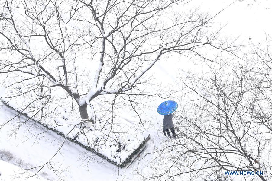 #CHINA-SNOW SCENERY (CN)