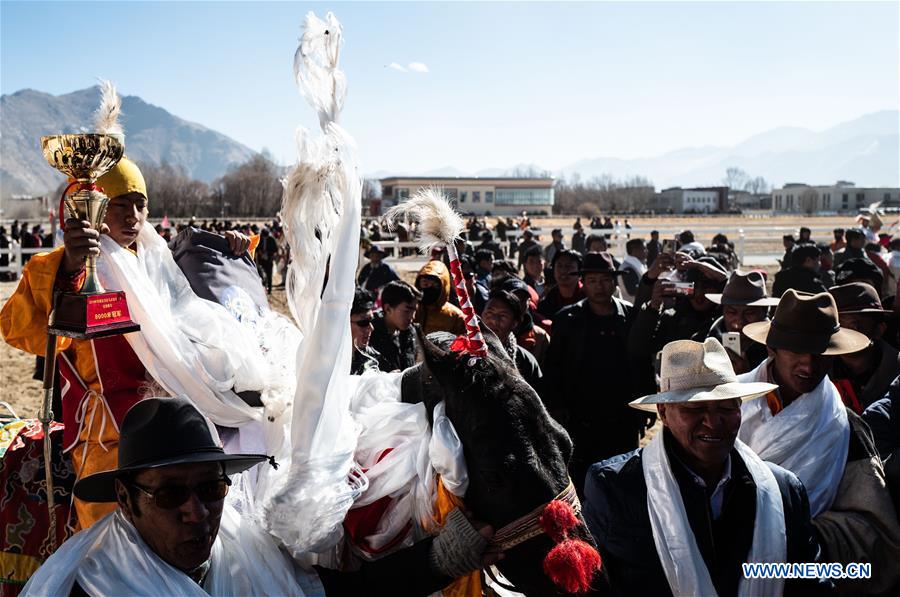 (InTibet) CHINA-TIBET-HORSE (CN)