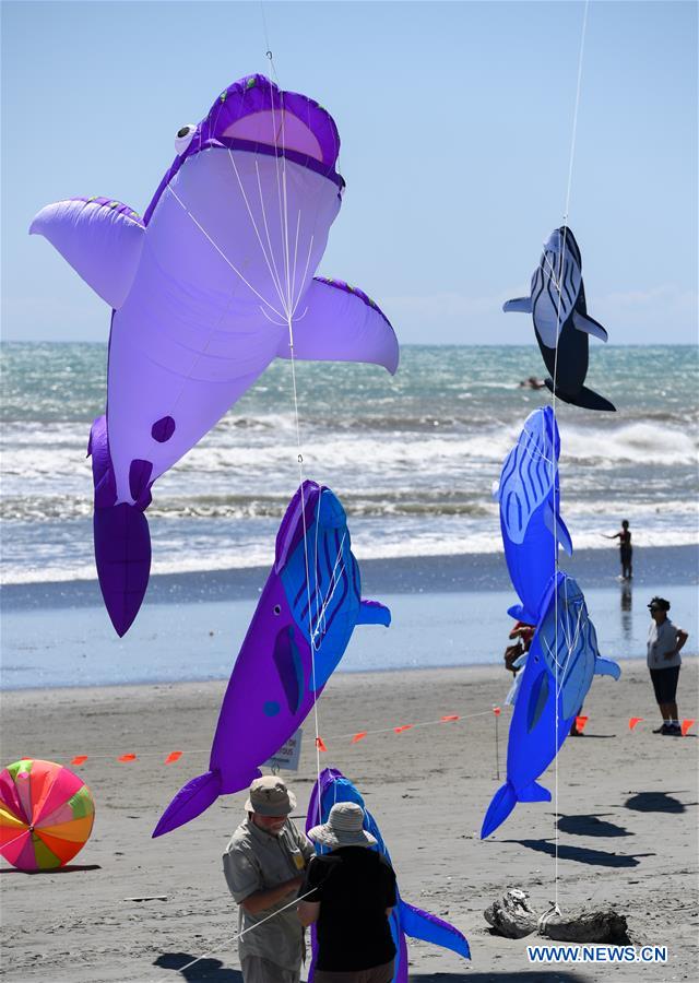 NEW ZEALAND-OTAKI-KITE FESTIVAL