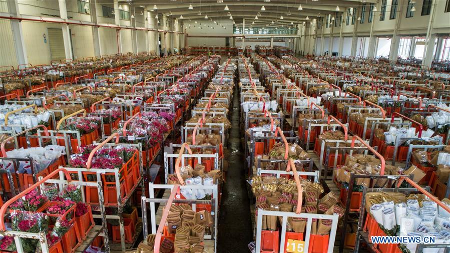 CHINA-YUNNAN-THAILAND-BANGKOK-FLOWER TRADE