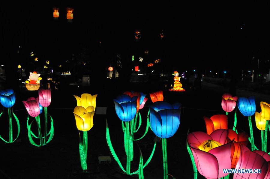 NEW ZEALAND-CHRISTCHURCH-CHINESE LANTERN FESTIVAL