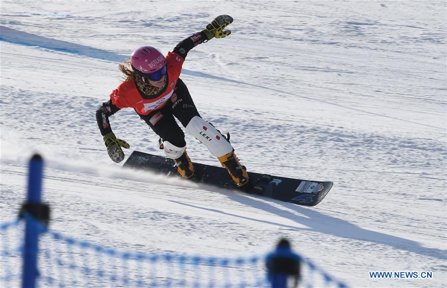 (SP)CHINA-HEBEI-ZHANGJIAKOU-FIS SNOWBOARD-PARALLEL GIANT SLALOM(CN)