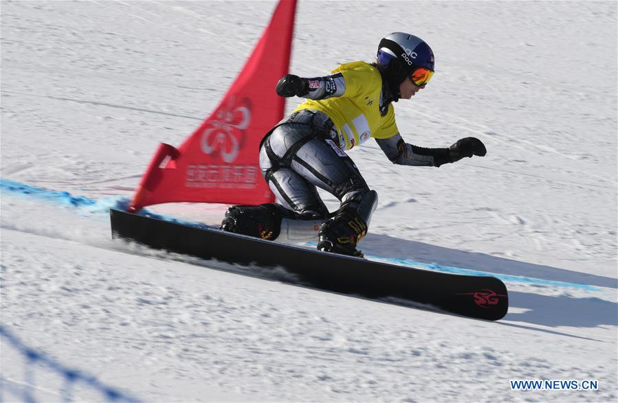 (SP)CHINA-HEBEI-ZHANGJIAKOU-FIS SNOWBOARD-PARALLEL GIANT SLALOM(CN)