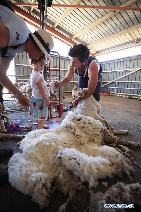 AUSTRALIA-CANBERRA-ROYAL CANBERRA SHOW