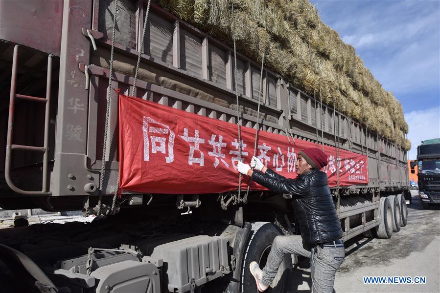 CHINA-QINGHAI-YUSHU-BLIZZARD-RELIEF (CN)