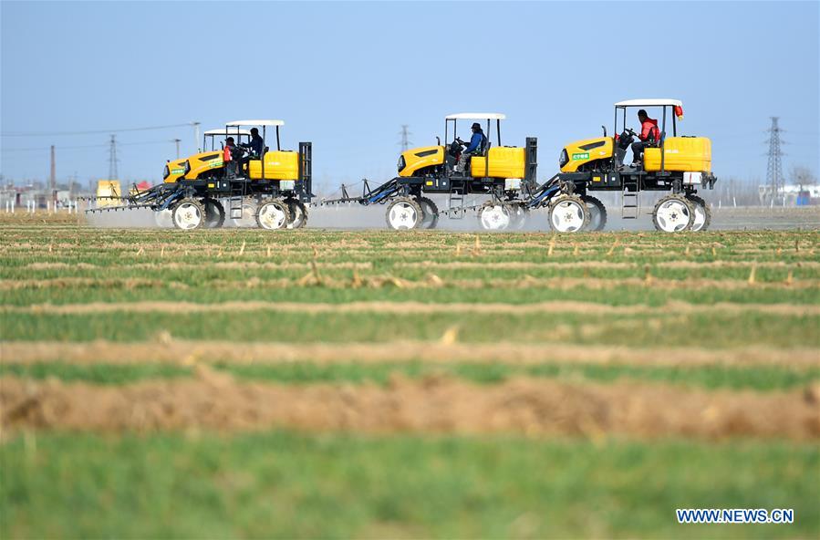 #CHINA-SPRING-FARMING (CN)