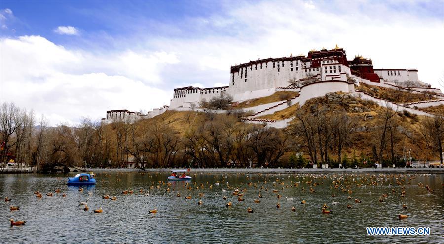 CHINA-TIBET-LHASA-EARLY SPRING (CN)