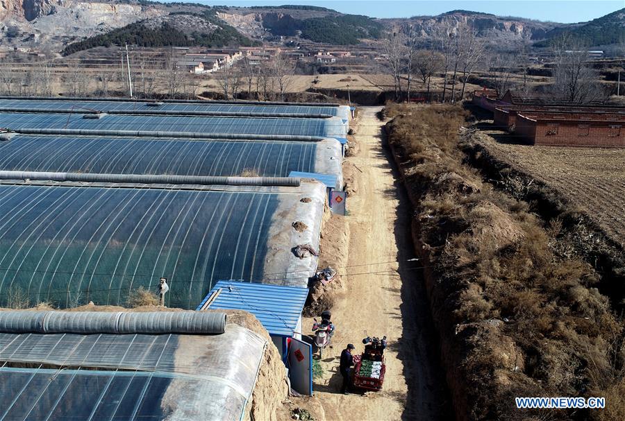 CHINA-SHANXI-HUGUAN-AGRICULTURE (CN)