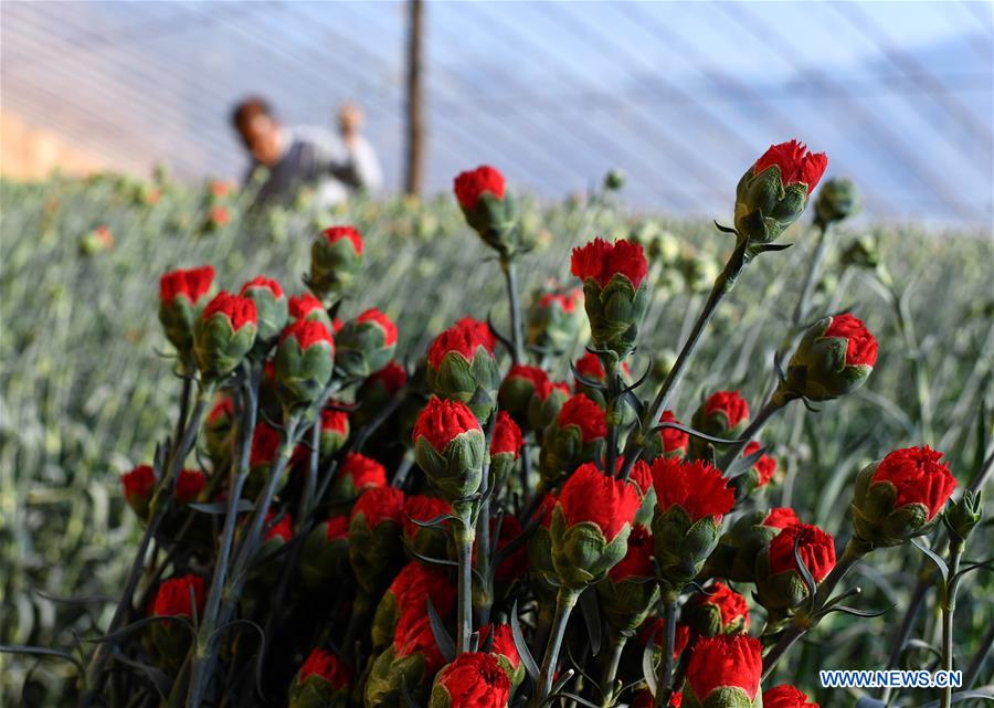 CHINA-SHANXI-HUGUAN-AGRICULTURE (CN)