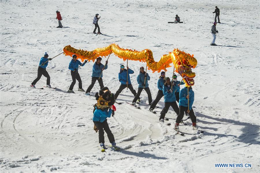 (SP)SLOVENIA-KRANJSKA GORA-CHINESE GRAGON