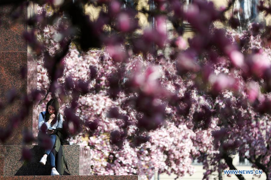 CROATIA-ZAGREB-FLOWERS