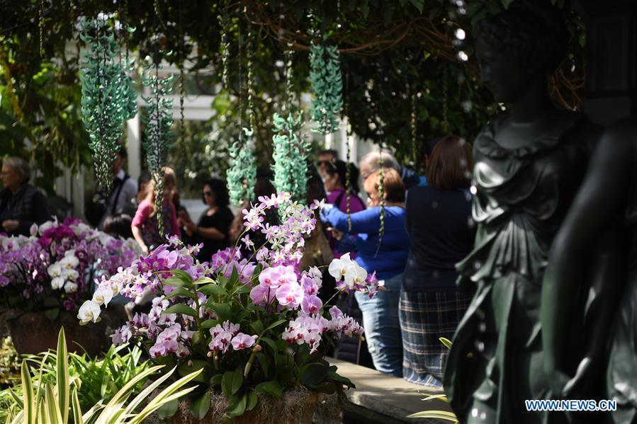 U.S.-NEW YORK-BOTANICAL GARDEN-ORCHID SHOW