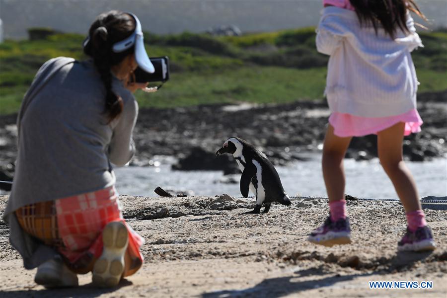 XINHUA PHOTOS OF THE DAY