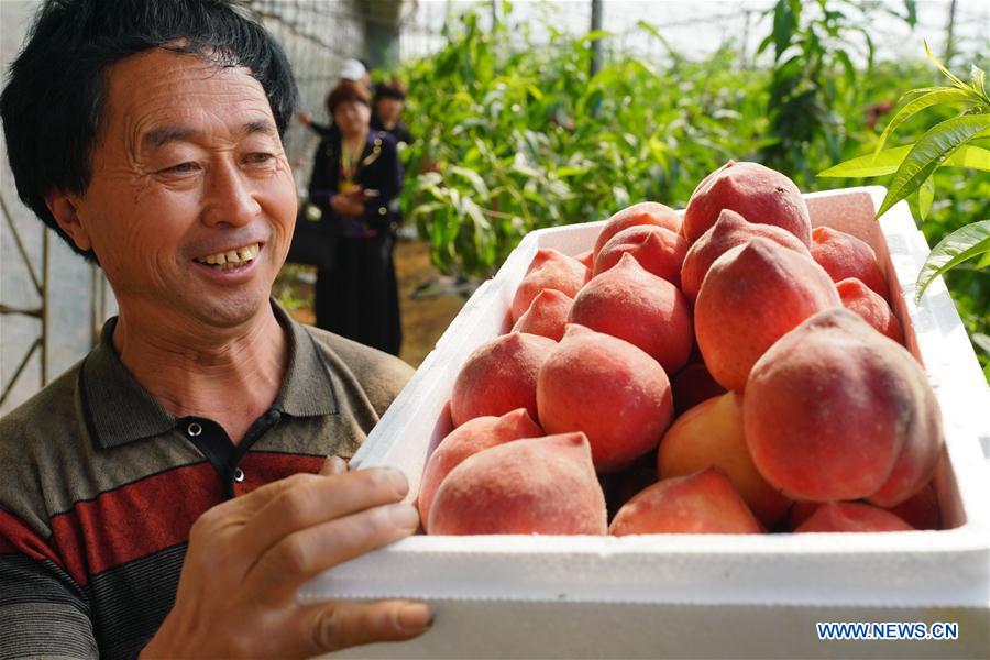 CHINA-HEBEI-AGRICULTURE-DEVELOPMENT (CN)