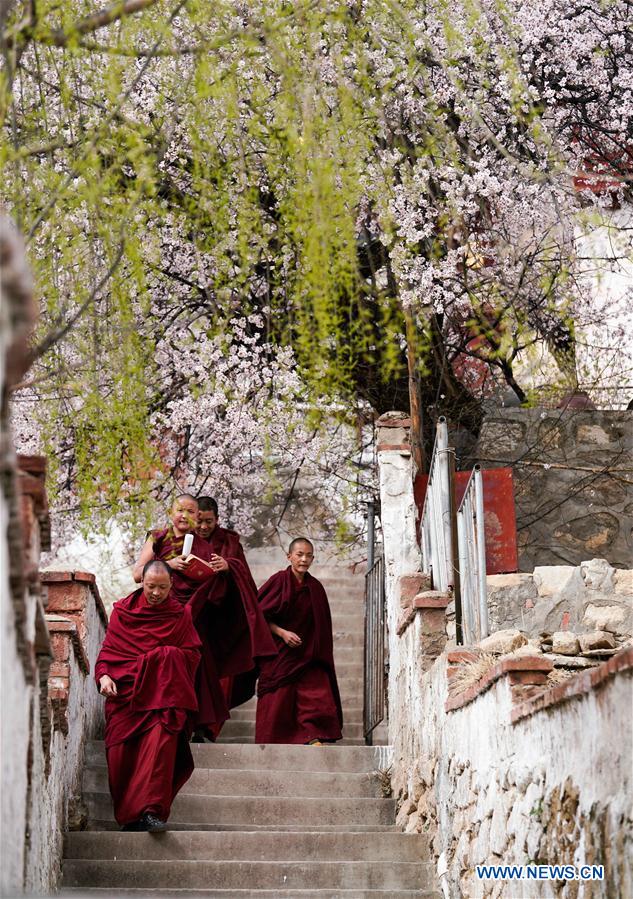 CHINA-TIBET-PABONKA HERMITAGE-SCENERY (CN)