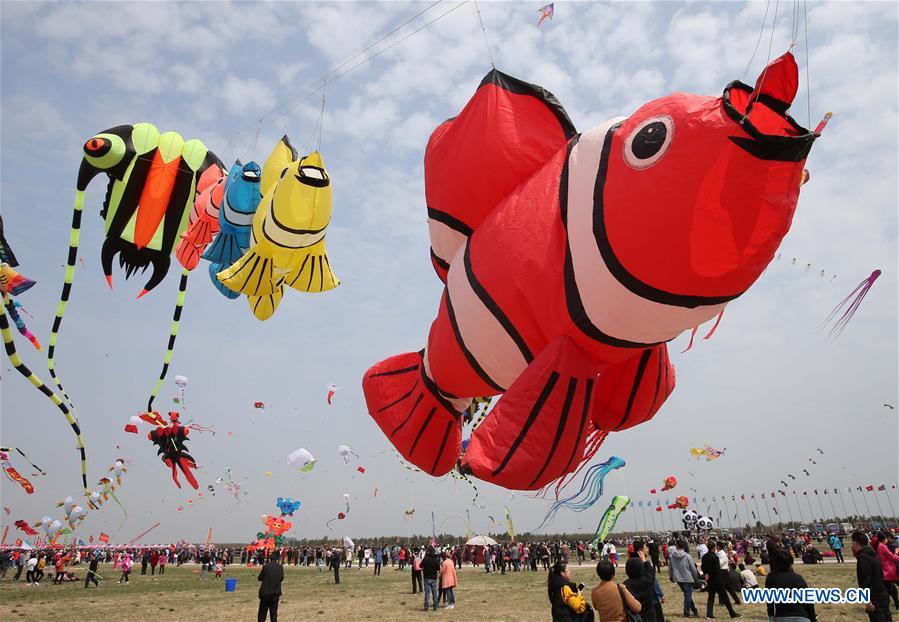 #CHINA-SHANDONG-WEIFANG-KITE FESTIVAL (CN)