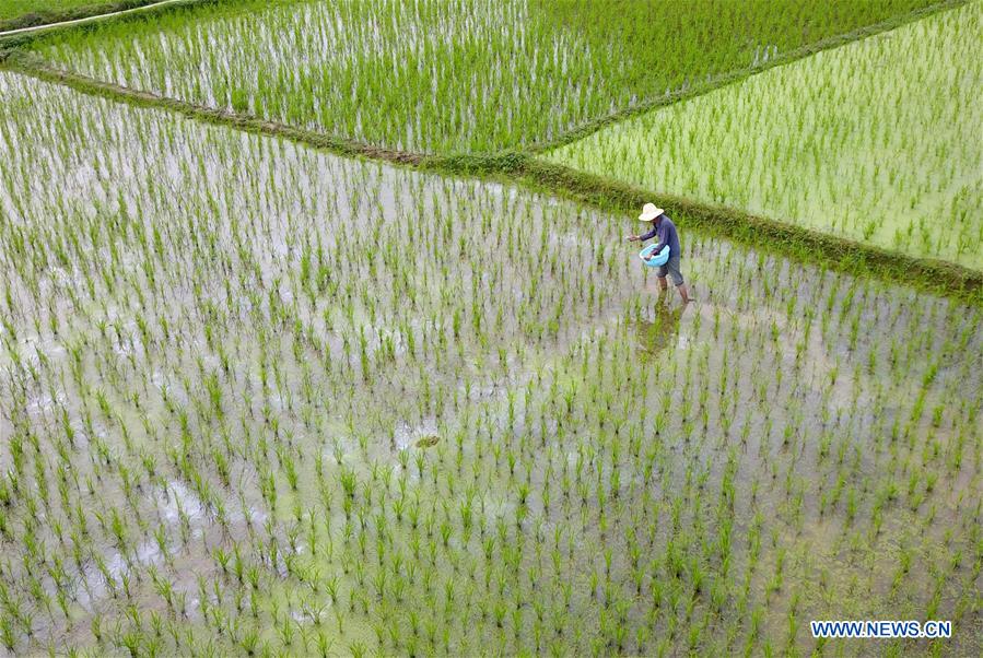 XINHUA PHOTOS OF THE DAY