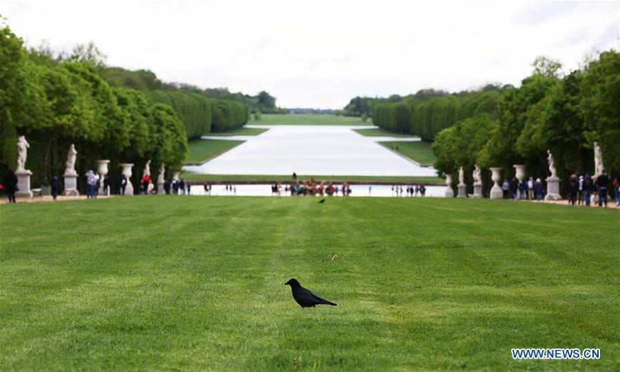 FRANCE-PARIS-CHATEAU DE VERSAILLE-GARDEN