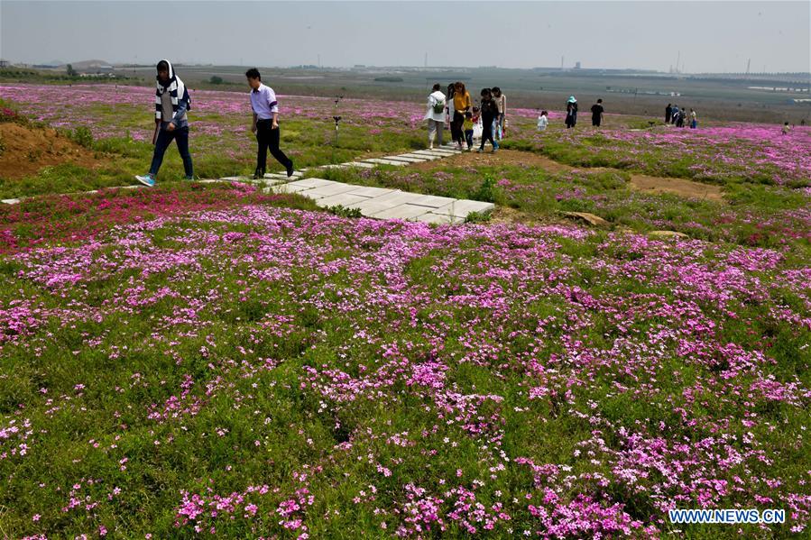 CHINA-SHANDONG-ANQIU-CULTURAL CREATIVITY INDUSTRIAL PARK (CN)