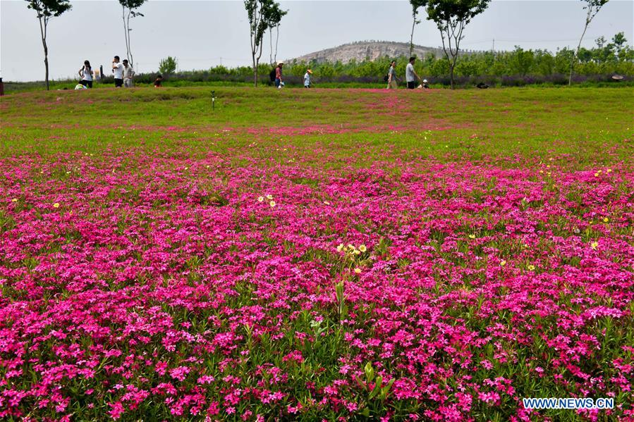 CHINA-SHANDONG-ANQIU-CULTURAL CREATIVITY INDUSTRIAL PARK (CN)