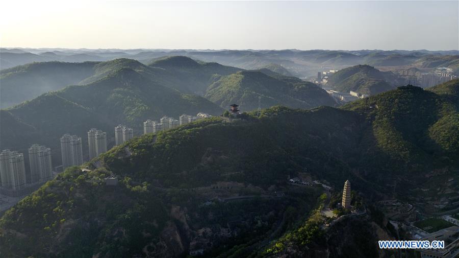 CHINA-SHAANXI-YAN'AN-FOREST (CN)