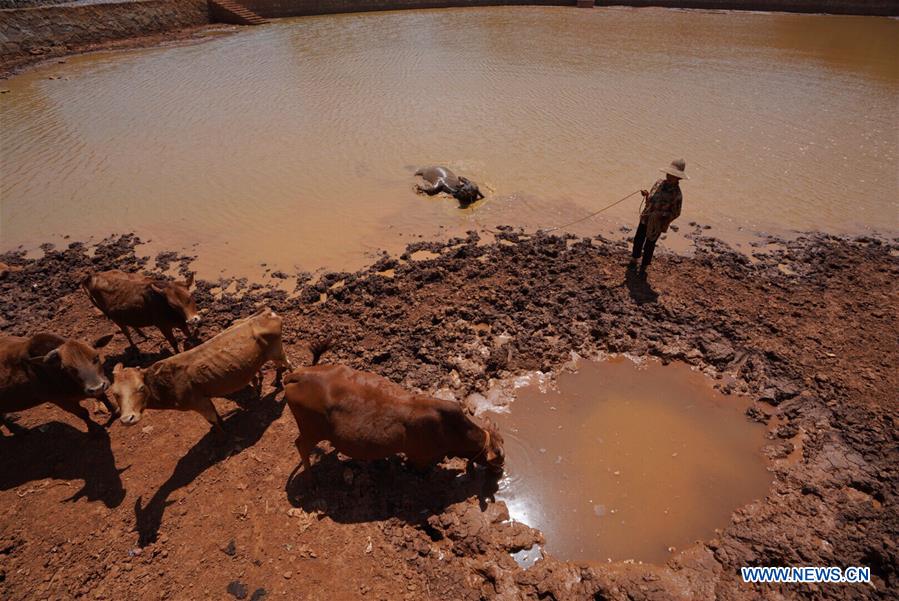 CHINA-YUNNAN-MILE-DROUGHT (CN)