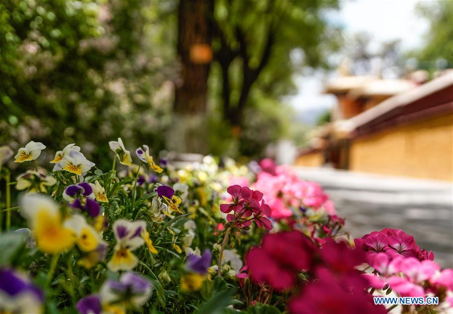 CHINA-LHASA-NORBU LINGKA-SCENERY(CN)