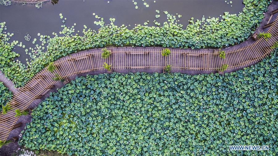 (EcoChina) CHINA-BEIJING-HORTICULTURAL EXPO-SHANGHAI (CN)