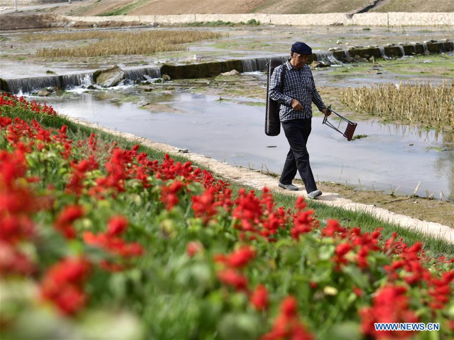 CHINA-GANSU-BAIYIN-ENVIRONMENT (CN)