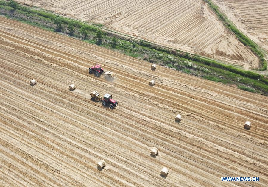 #CHINA-SUMMER-FARM WORK (CN)