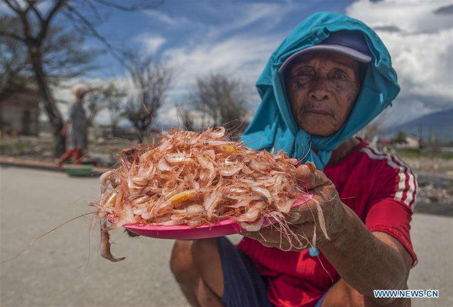 INDONESIA-PALU-DRIED SHRIMP-DAILY LIFE