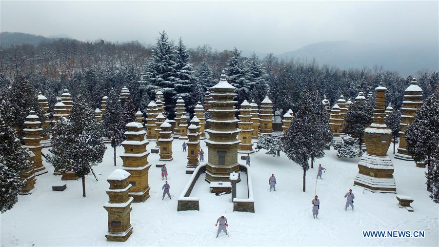 (EcoChina)CHINA-BEIJING-HORTICULTURAL EXPO-HENAN (CN)