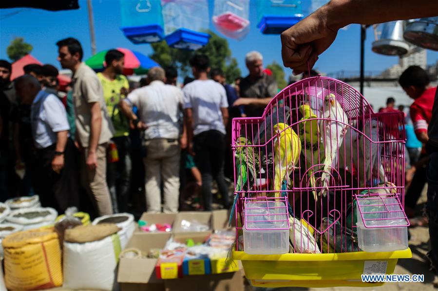 MIDEAST-GAZA-WILD-BIRDS-MARKET