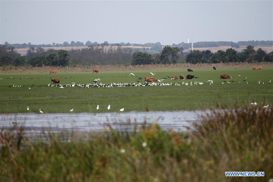 TURKEY-SAMSUN-KIZILIRMAK DELTA-SCENERY (CN)