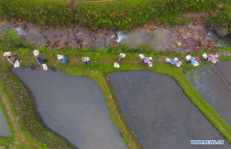 CHINA-GUANGXI-RONGSHUI-POVERTY ALLEVIATION (CN)