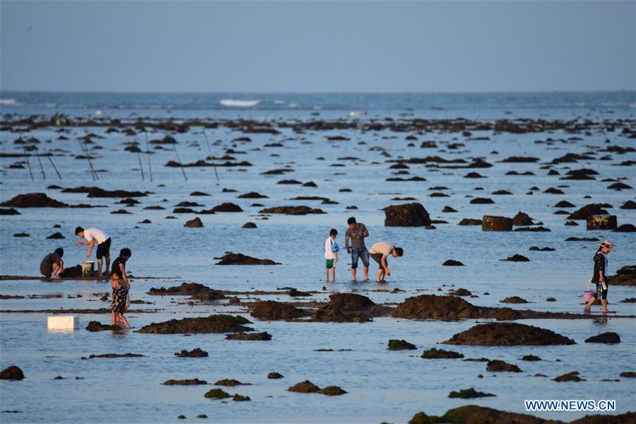 #CHINA-HAINAN-QIONGHAI-BEACHCOMBING(CN)