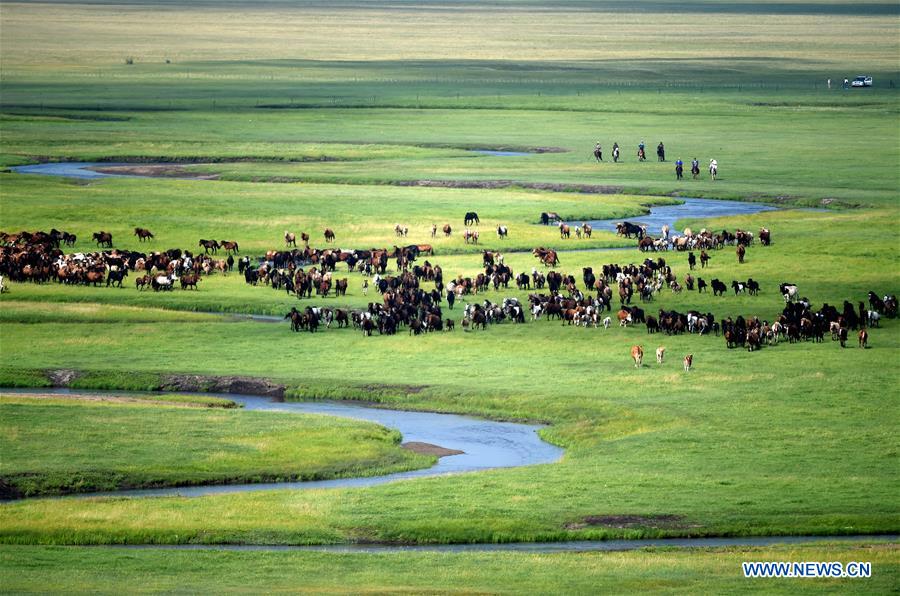 CHINA-INNER MONGOLIA-HORSES (CN)