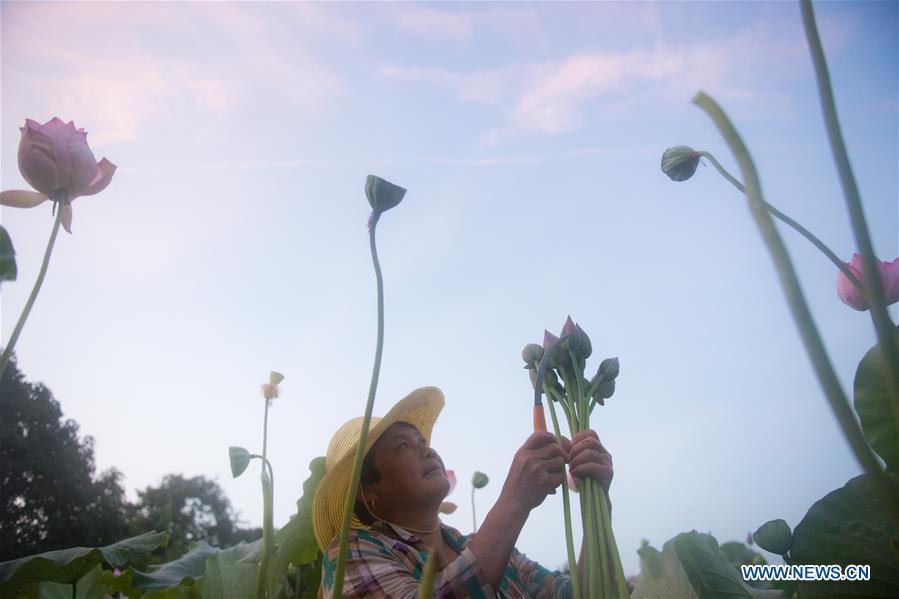 CHINA-ZHEJIANG-JIANDE-LOTUS-ECONOMY (CN)