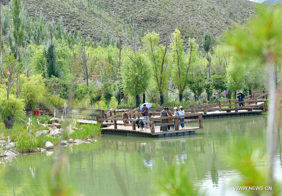 CHINA-TIBET-LHASA-SUMMER SCENERY (CN)