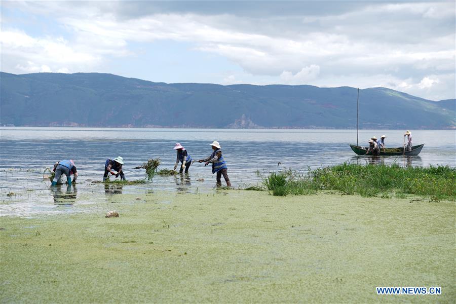 CHINA-YUNNAN-ERHAI LAKE-WATER QUALITY (CN)