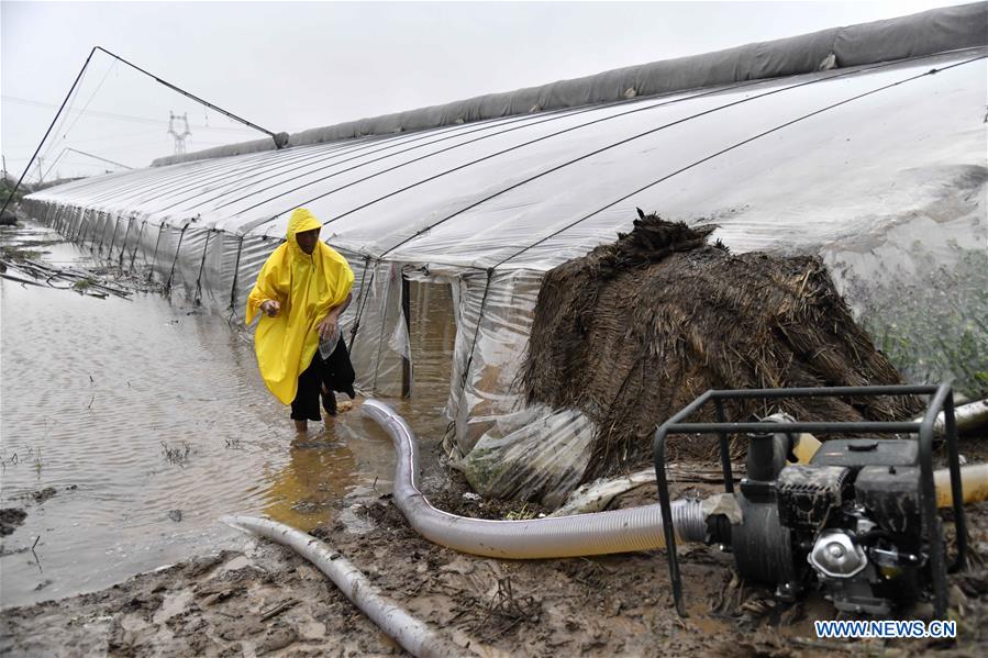 CHINA-SHANDONG-SHOUGUANG-TYPHOON-FLOOD-AFTERMATH (CN)