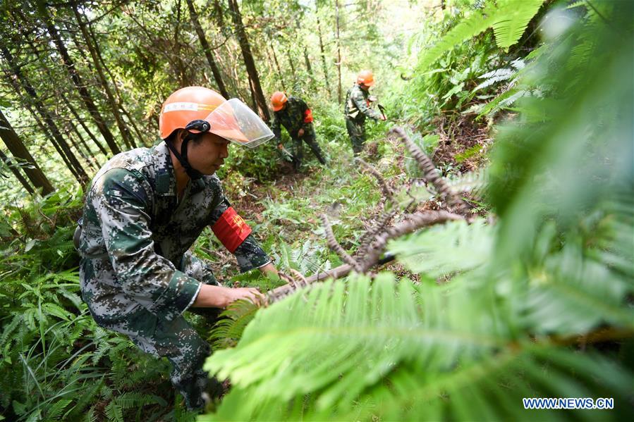 CHINA-JIANGXI-FOREST RANGER (CN)