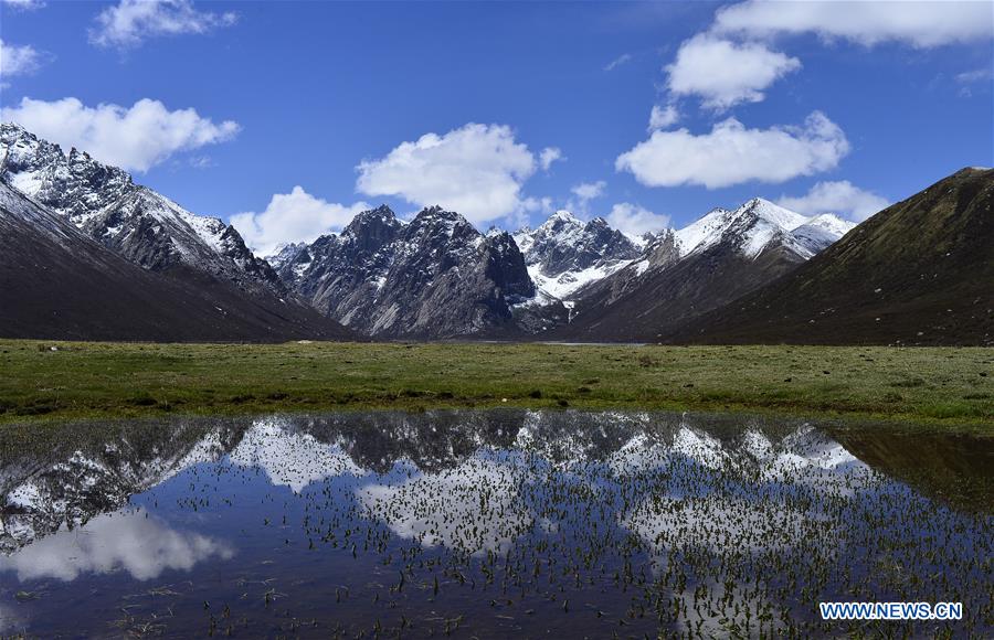 (EcoChina)CHINA-HORTICULTURAL EXPO-QINGHAI (CN)