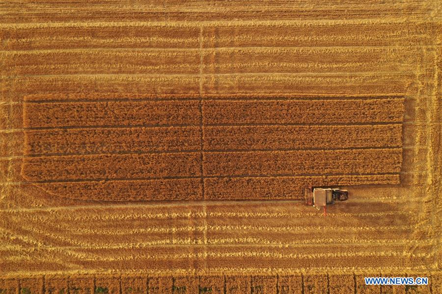 CHINA-FARMERS' HARVEST FESTIVAL (CN)